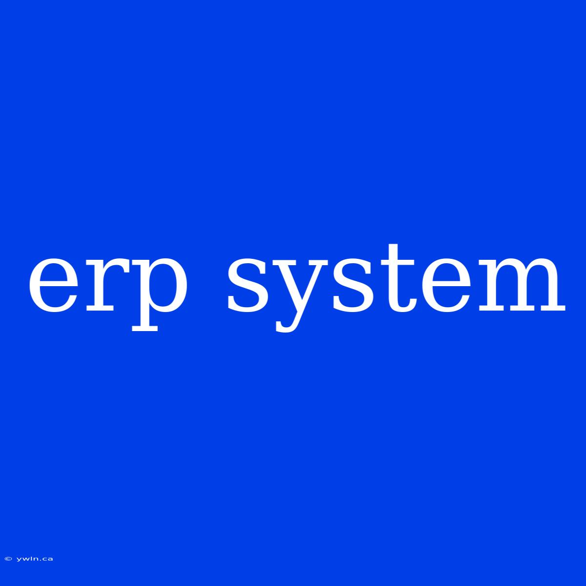 Erp System