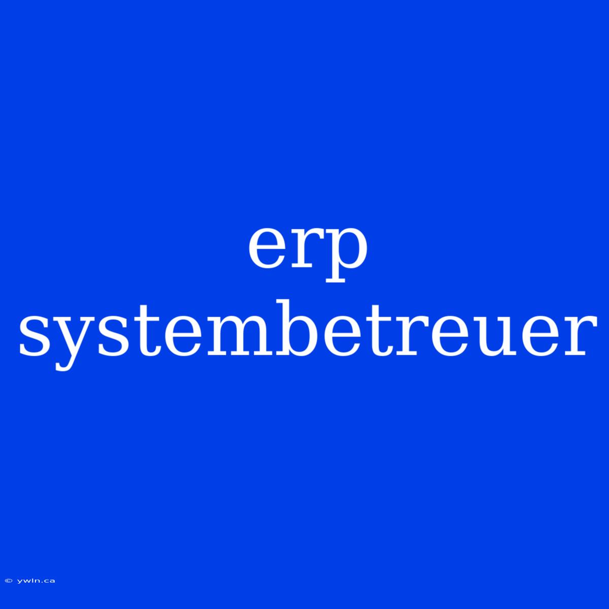 Erp Systembetreuer