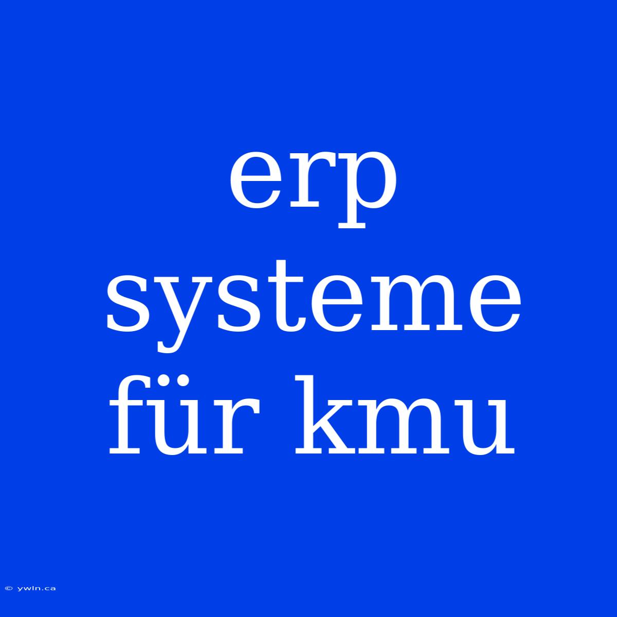 Erp Systeme Für Kmu