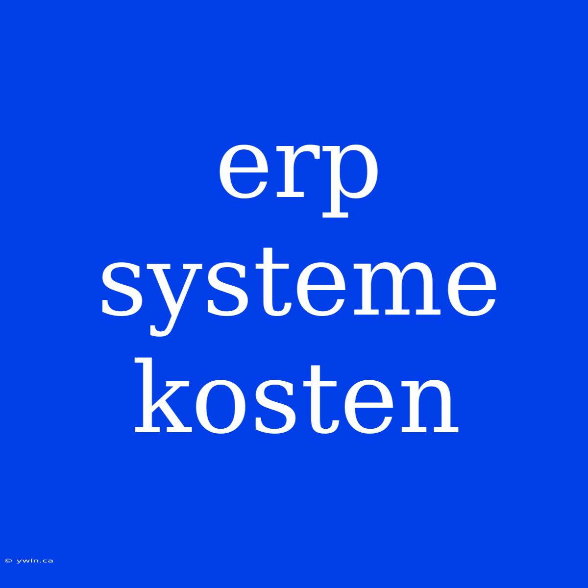 Erp Systeme Kosten