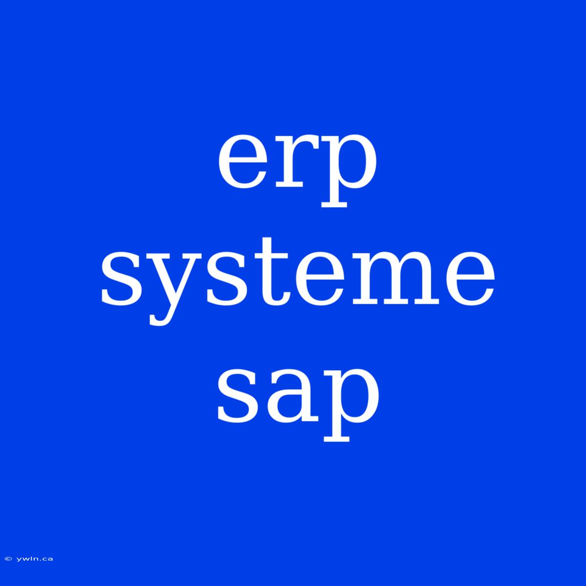 Erp Systeme Sap