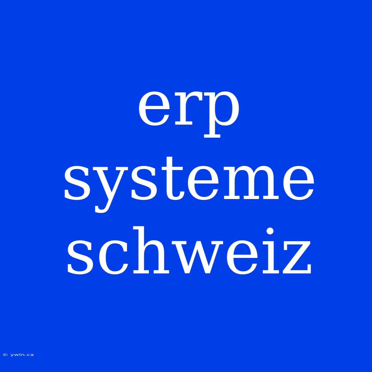 Erp Systeme Schweiz