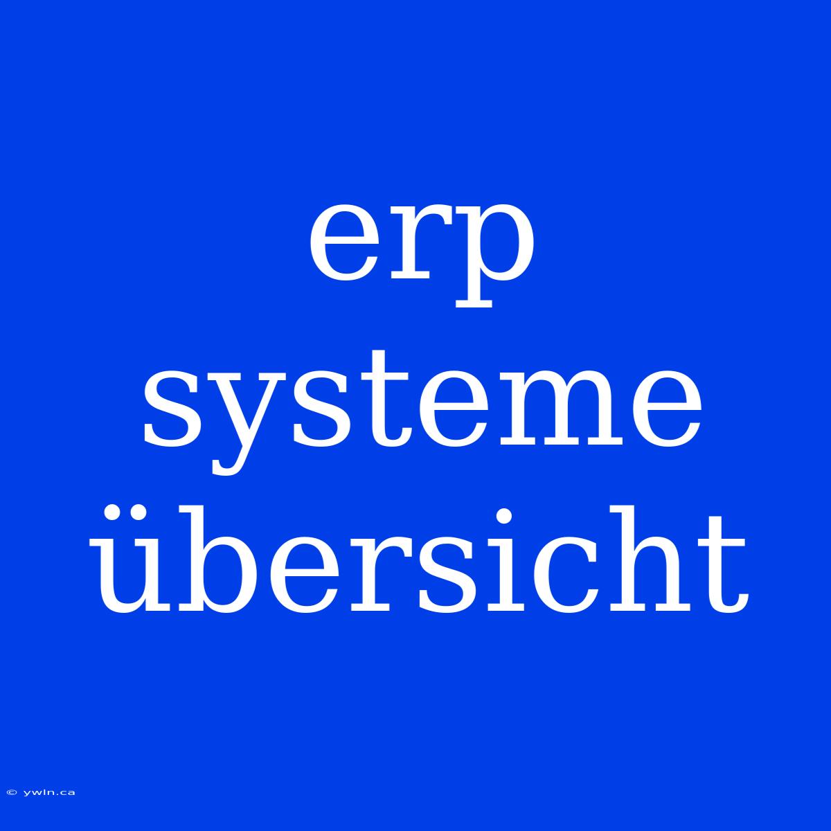 Erp Systeme Übersicht