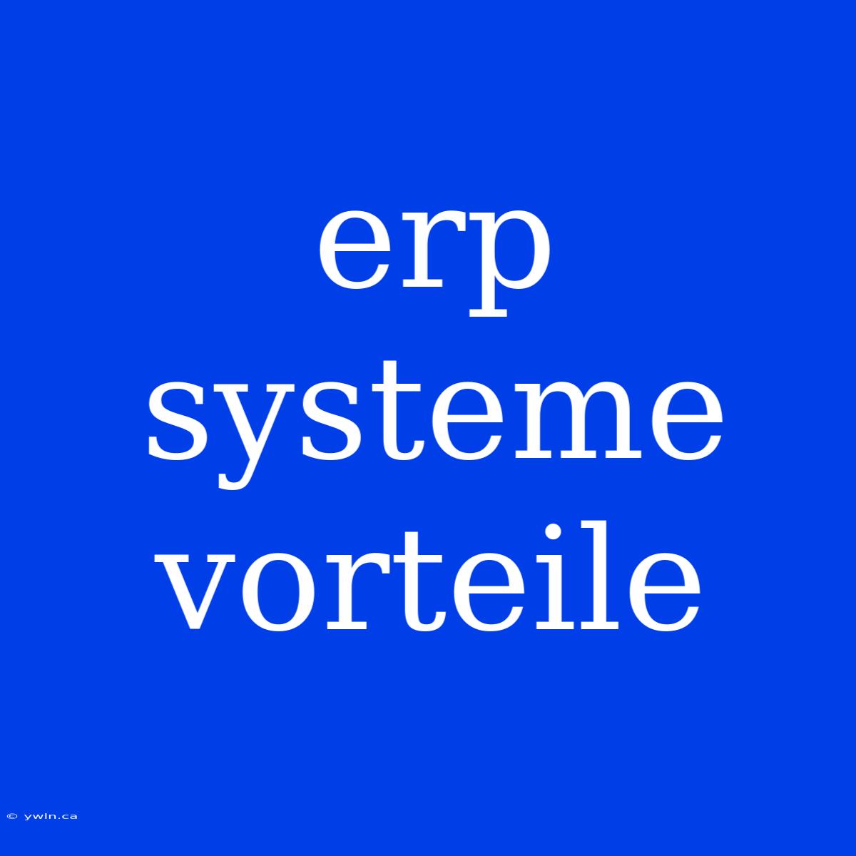 Erp Systeme Vorteile