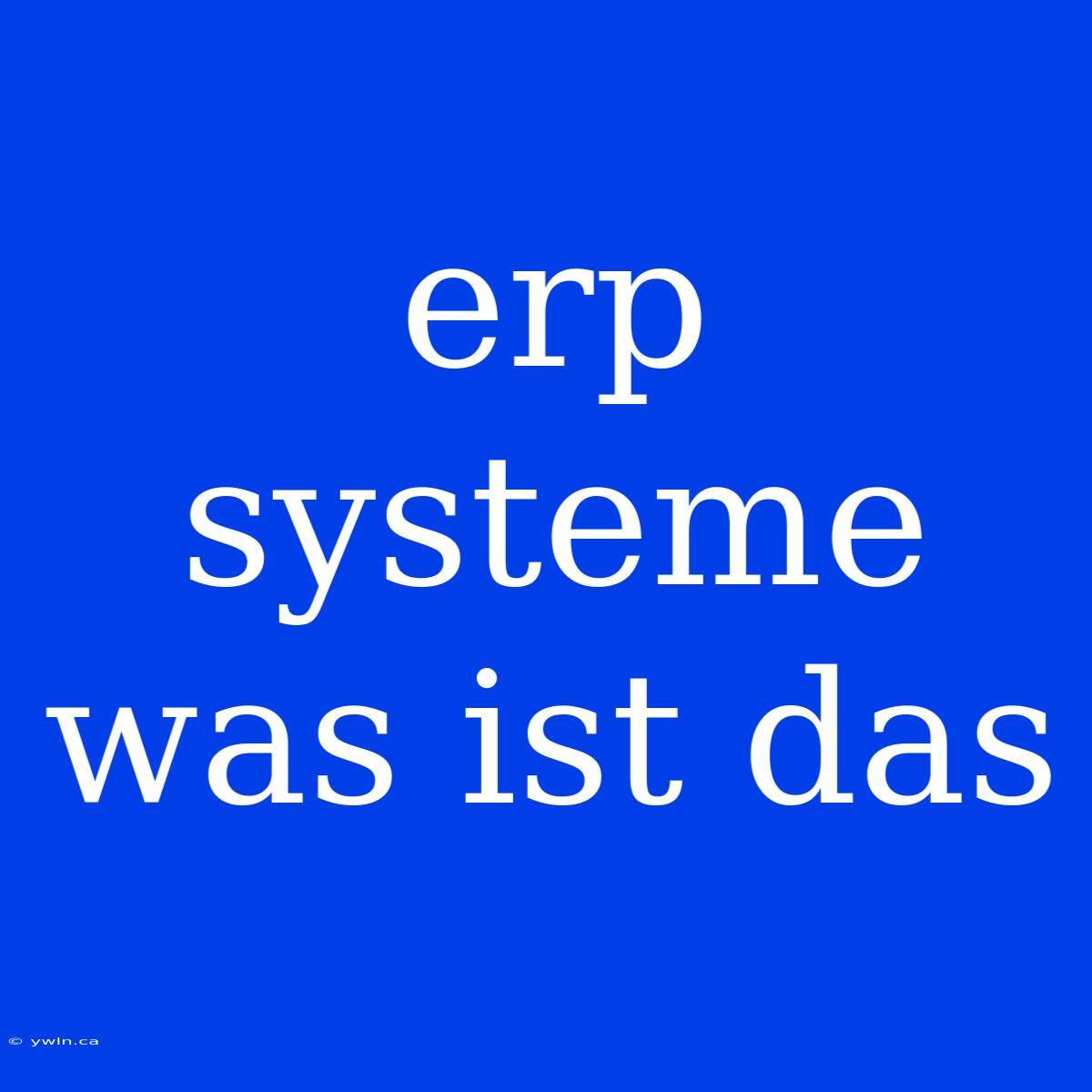 Erp Systeme Was Ist Das