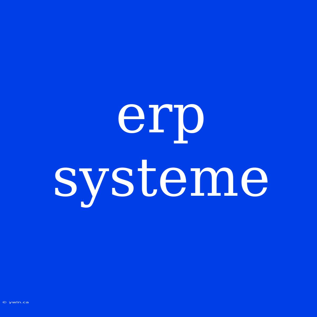 Erp Systeme