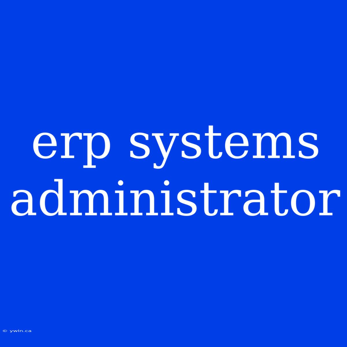 Erp Systems Administrator