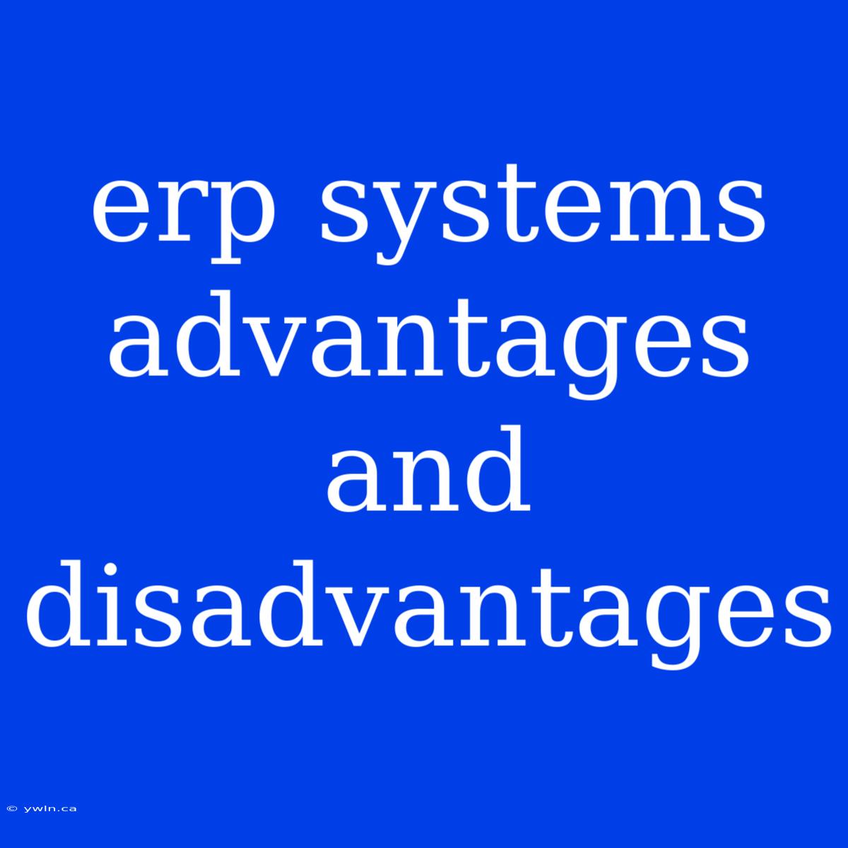 Erp Systems Advantages And Disadvantages