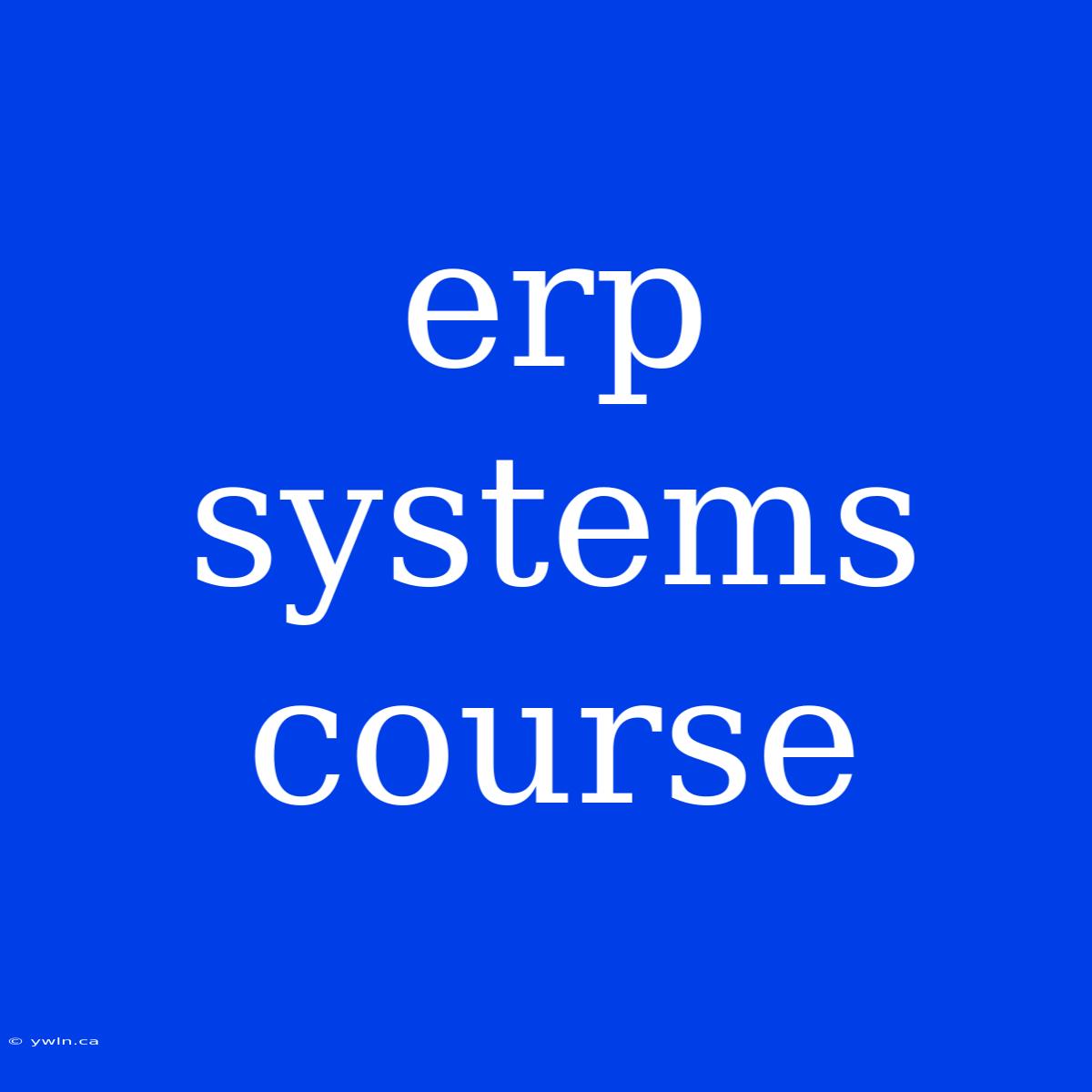 Erp Systems Course