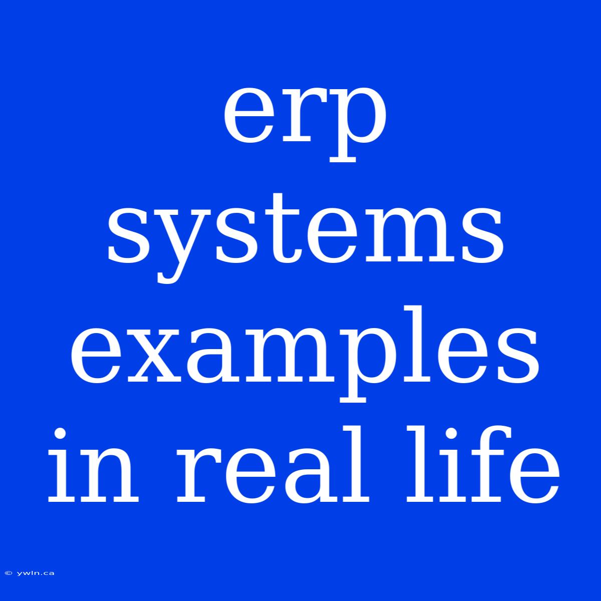 Erp Systems Examples In Real Life