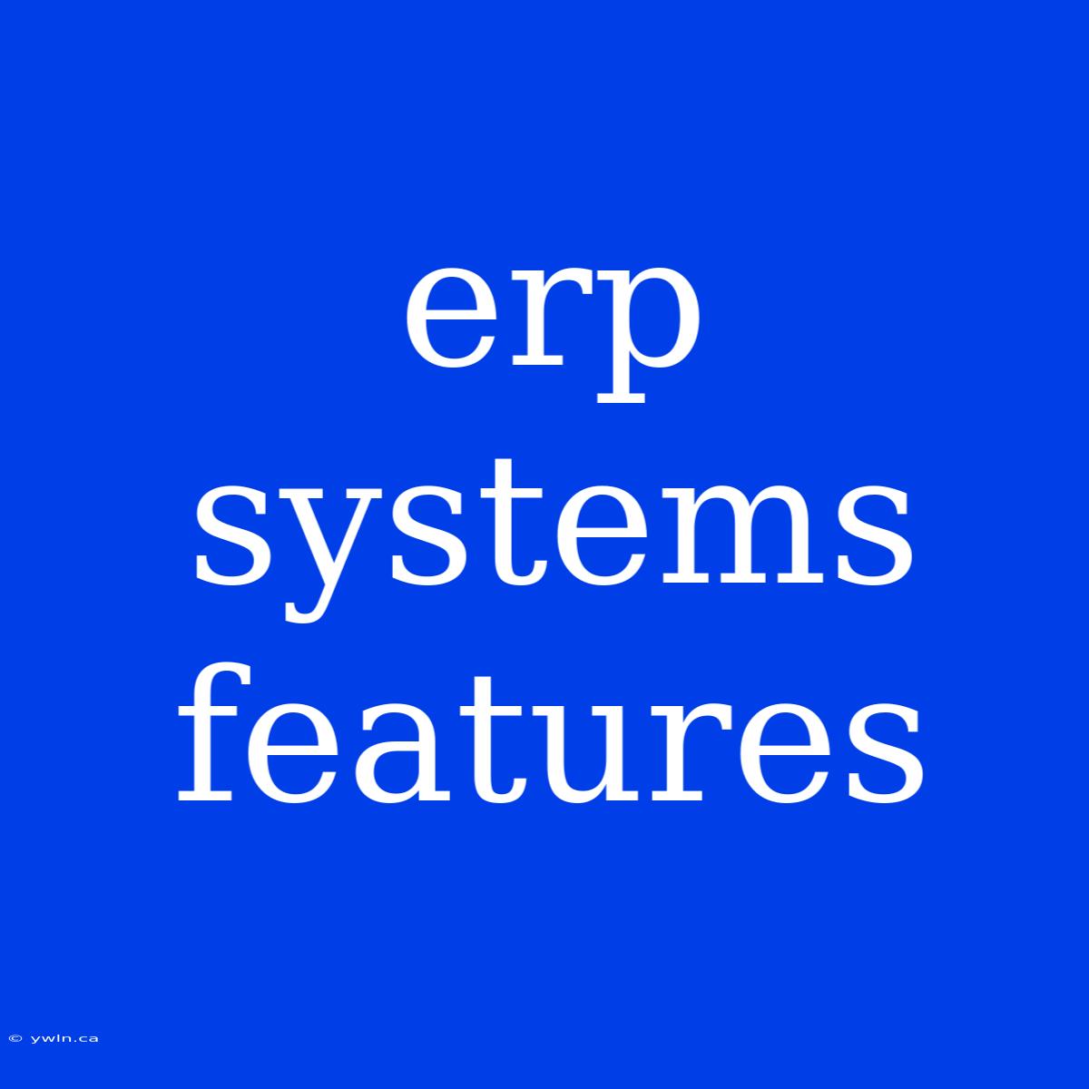 Erp Systems Features