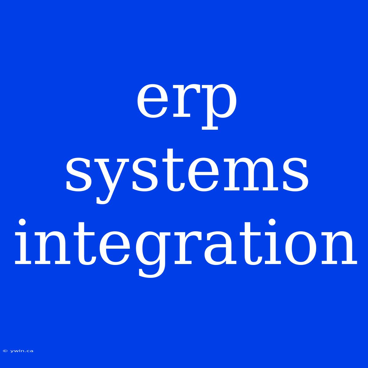 Erp Systems Integration