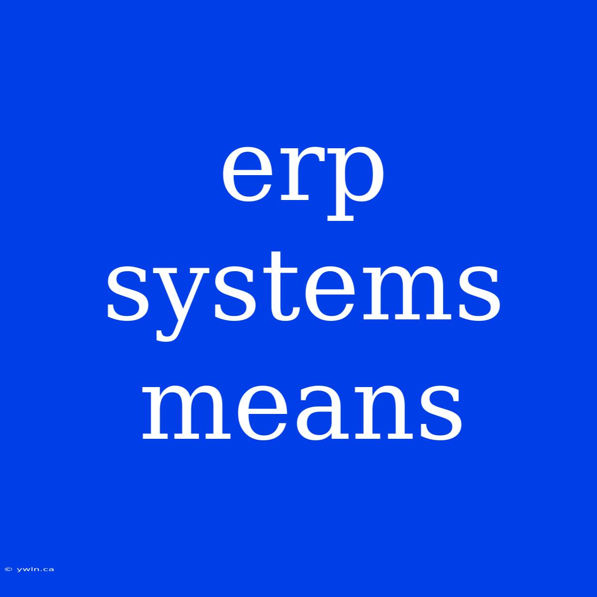 Erp Systems Means