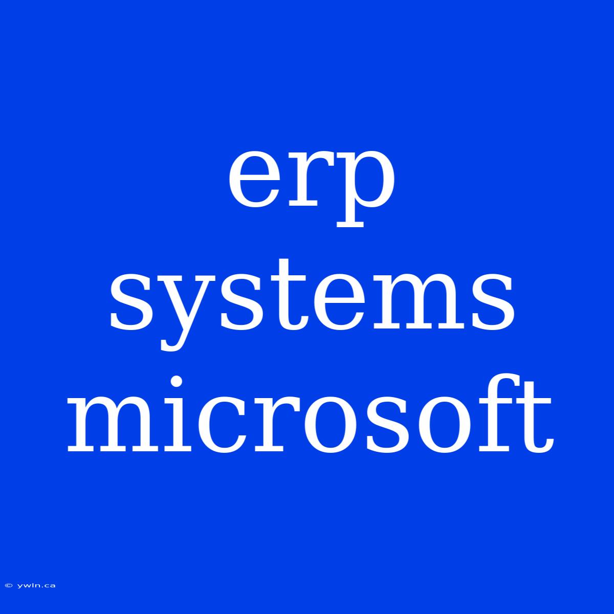 Erp Systems Microsoft