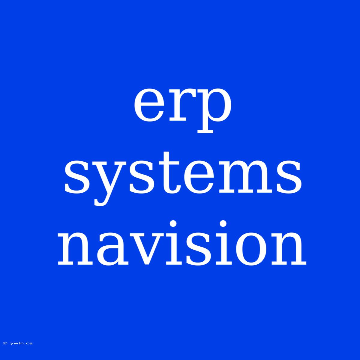 Erp Systems Navision