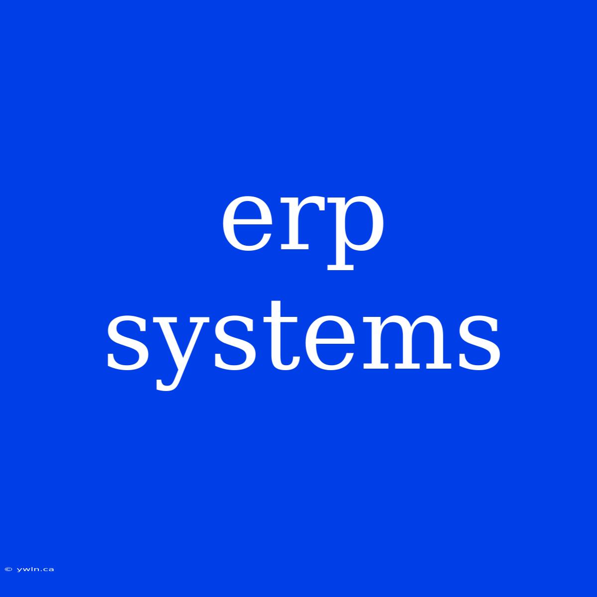 Erp Systems