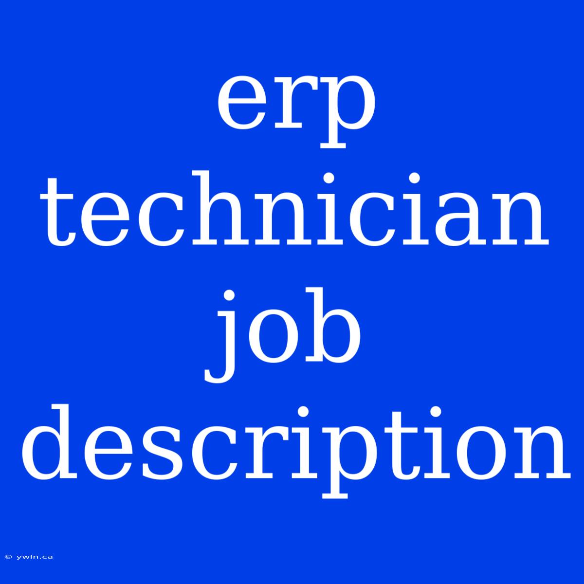 Erp Technician Job Description