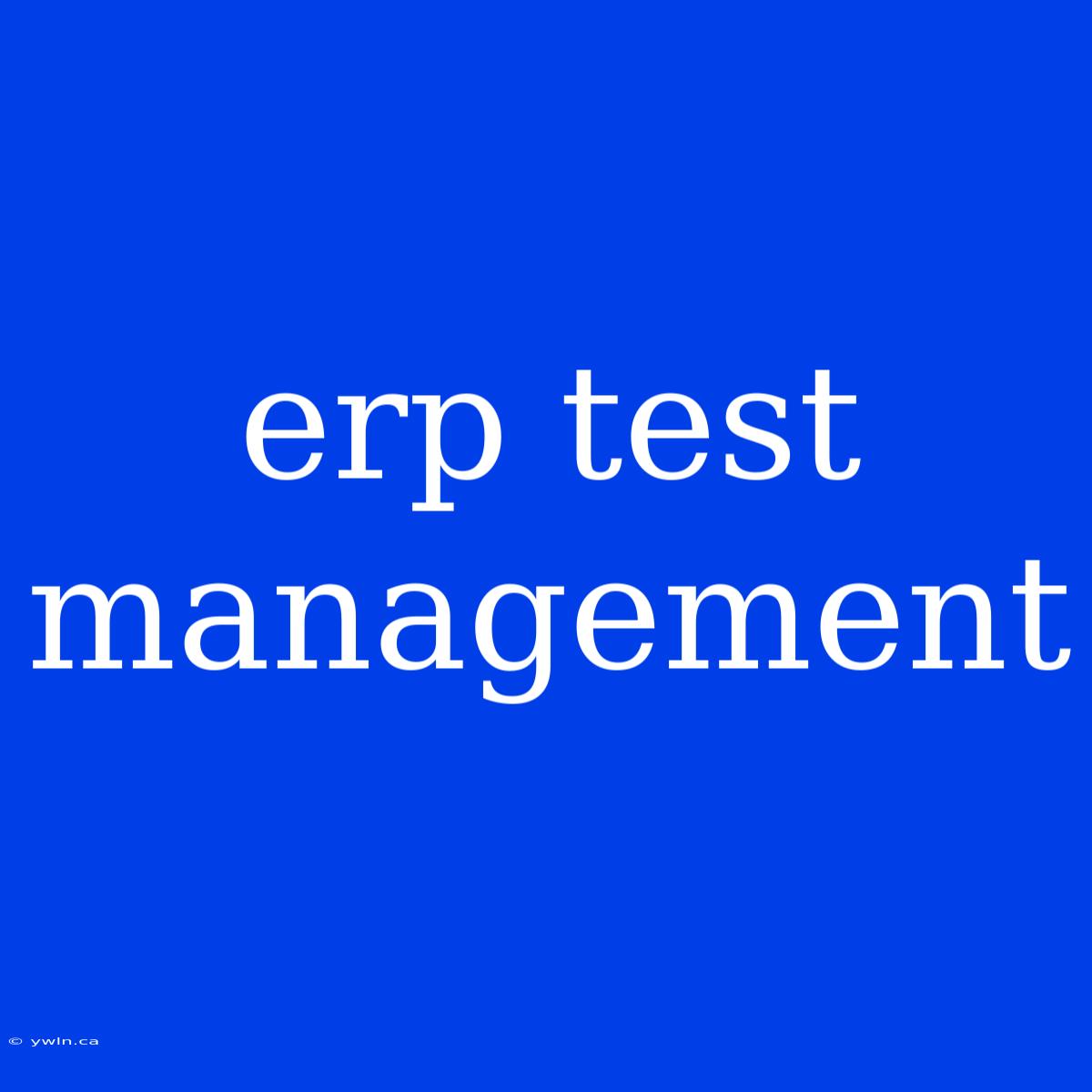 Erp Test Management