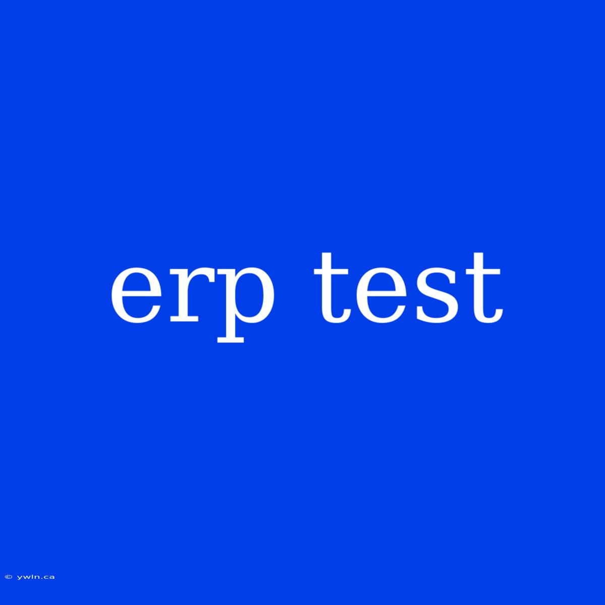 Erp Test