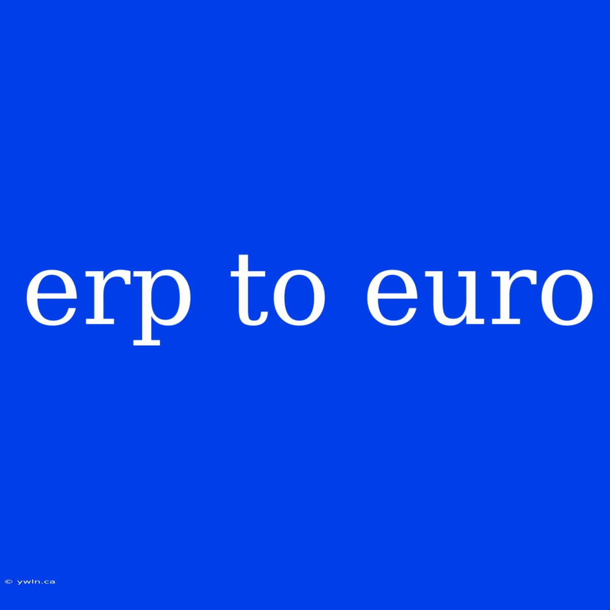 Erp To Euro