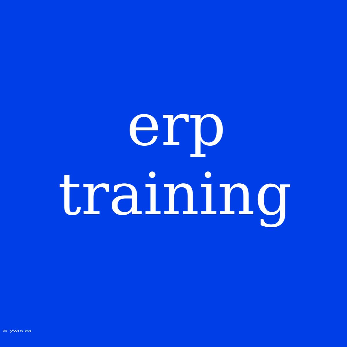 Erp Training