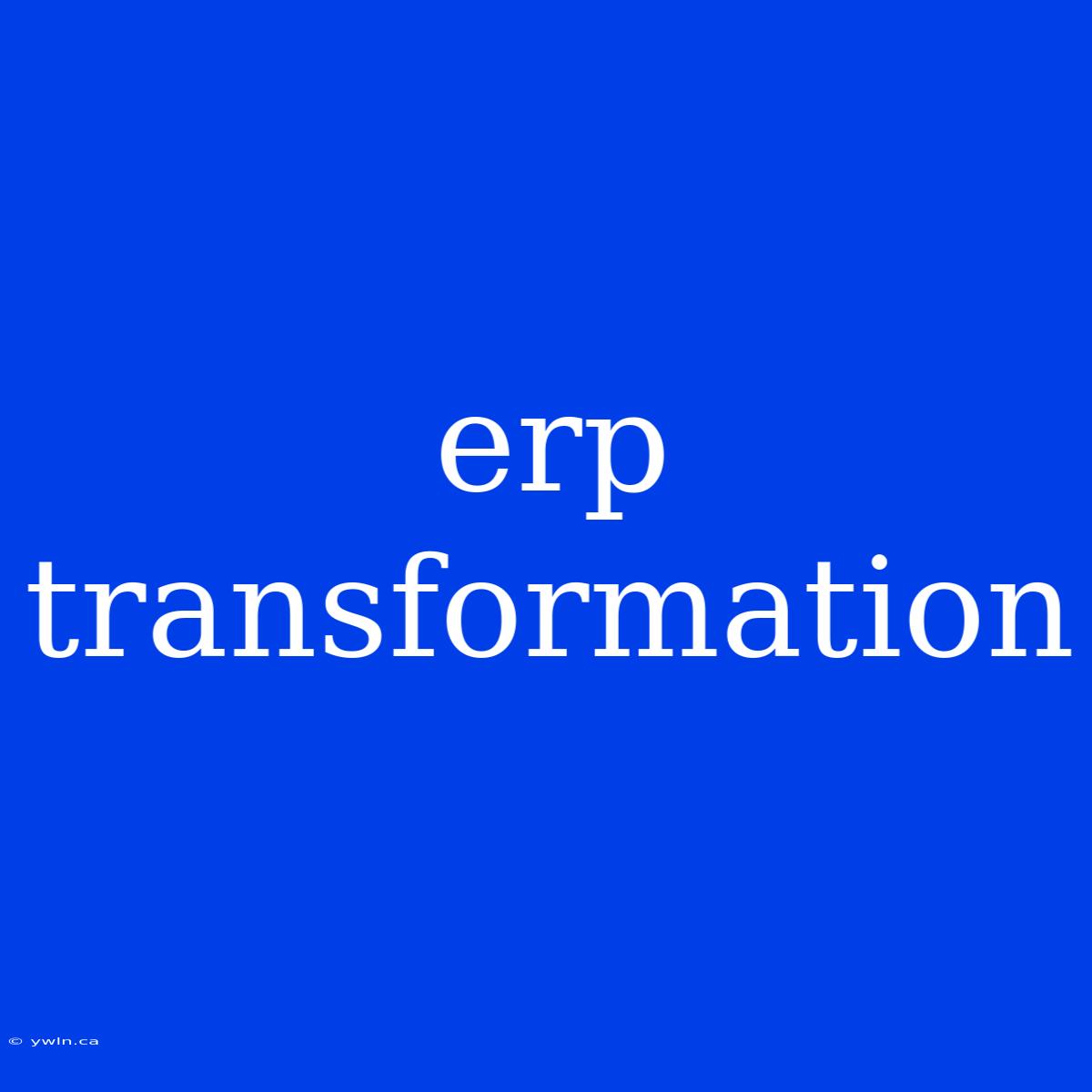 Erp Transformation