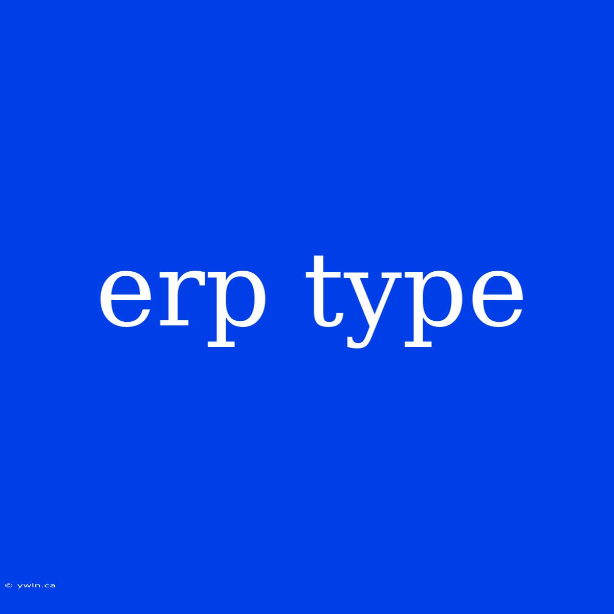 Erp Type