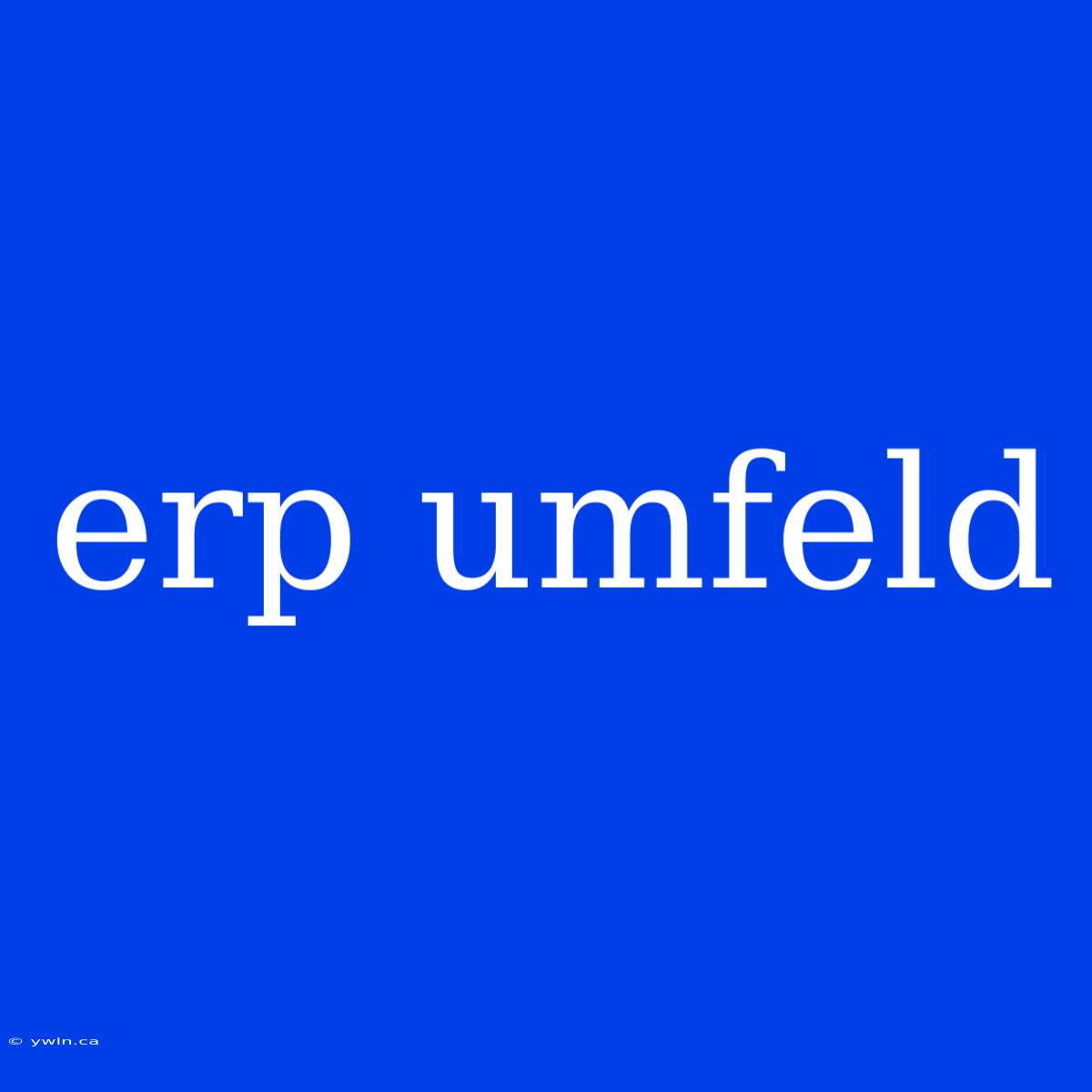 Erp Umfeld