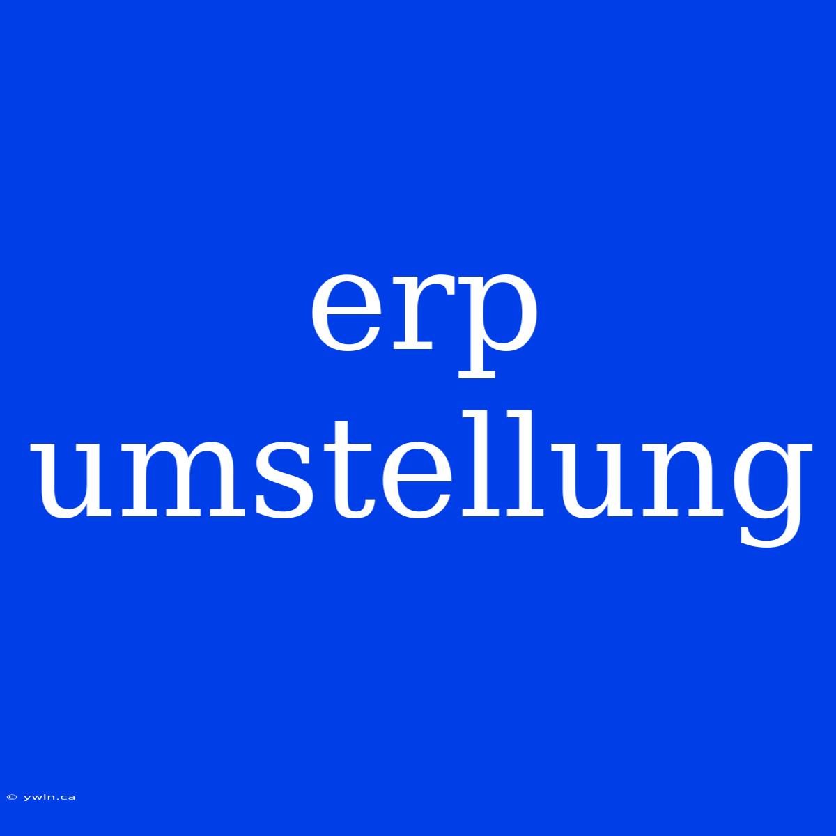 Erp Umstellung