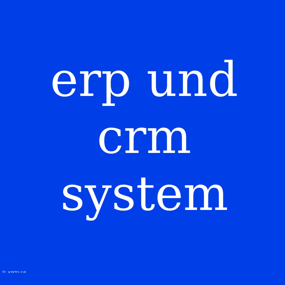 Erp Und Crm System