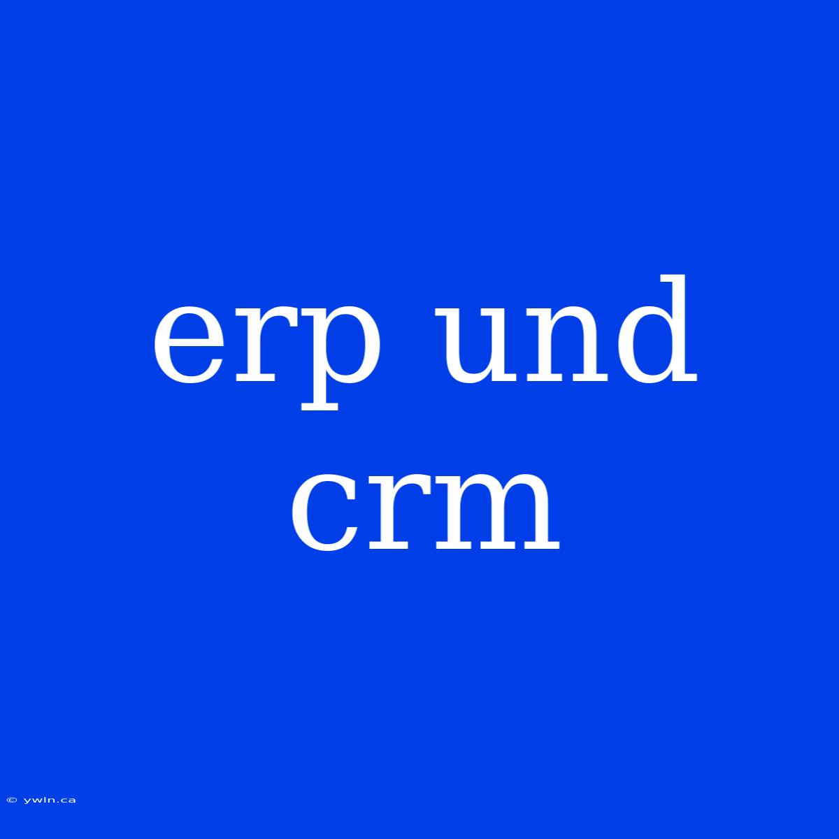 Erp Und Crm