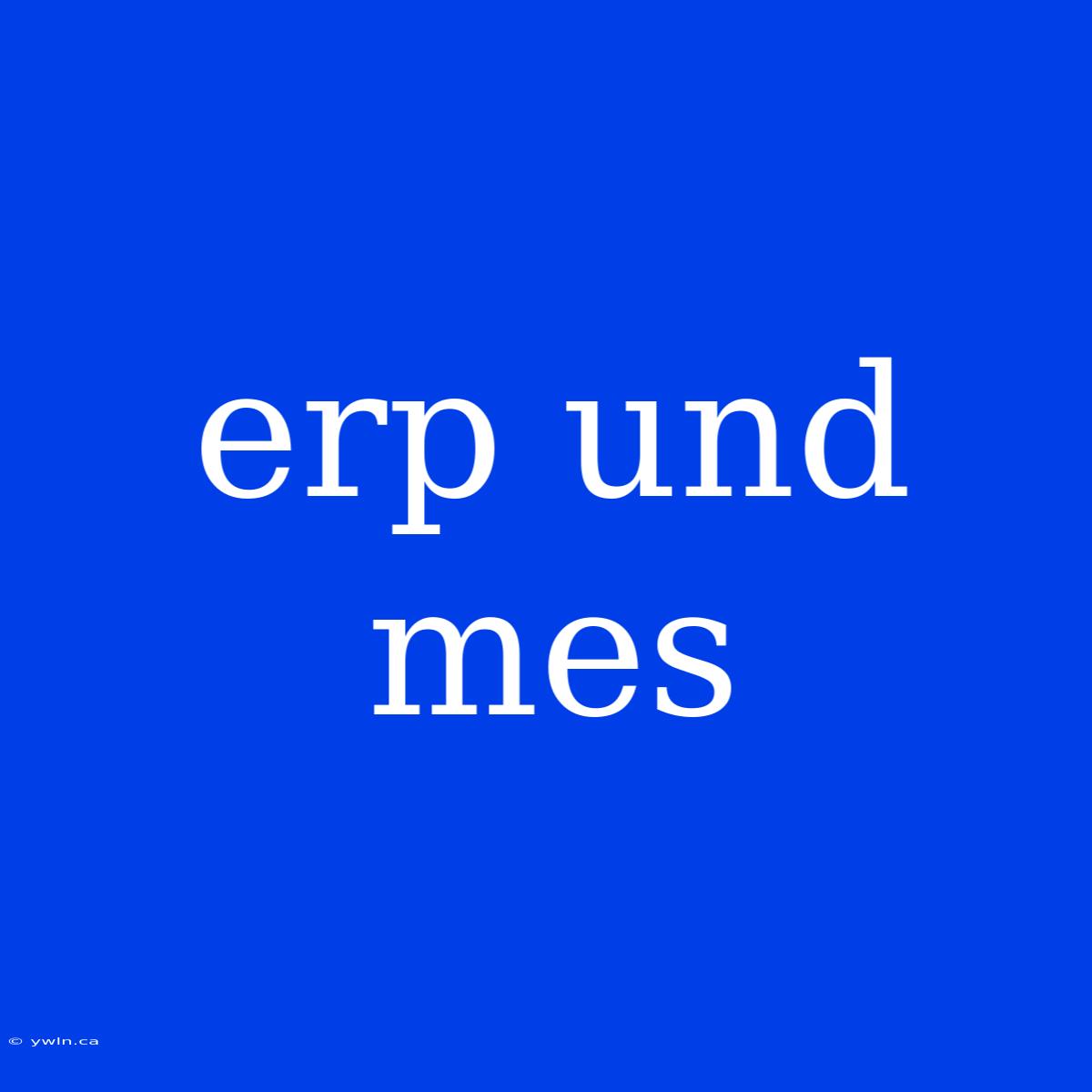 Erp Und Mes