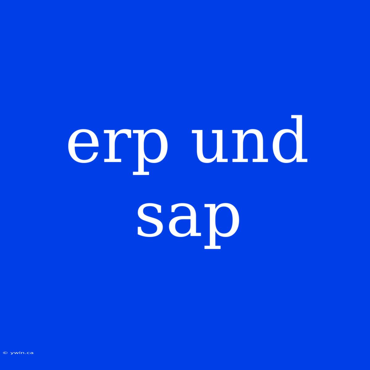 Erp Und Sap