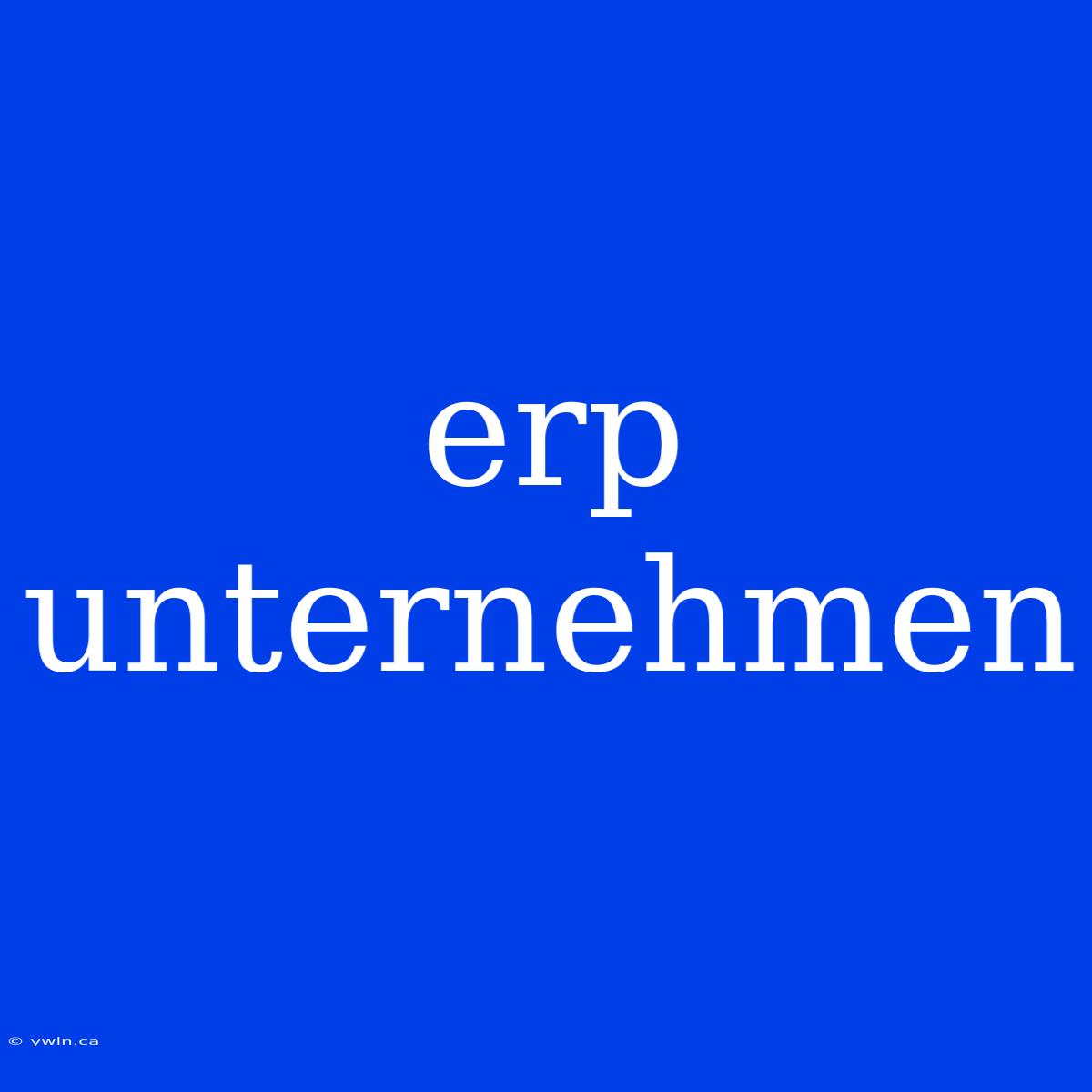 Erp Unternehmen