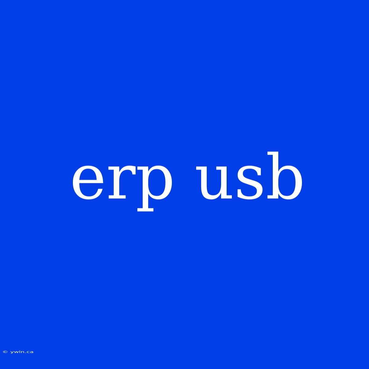 Erp Usb