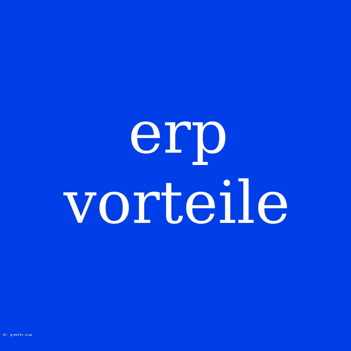 Erp Vorteile