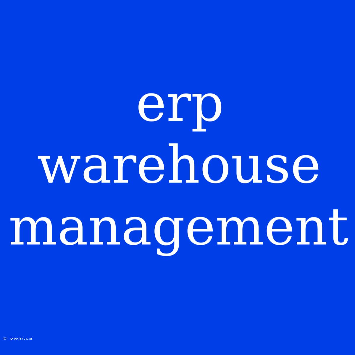 Erp Warehouse Management