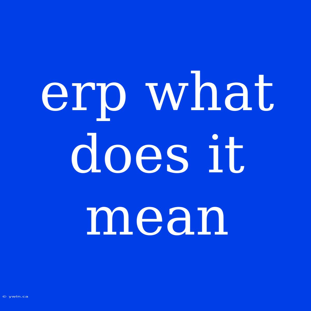 Erp What Does It Mean