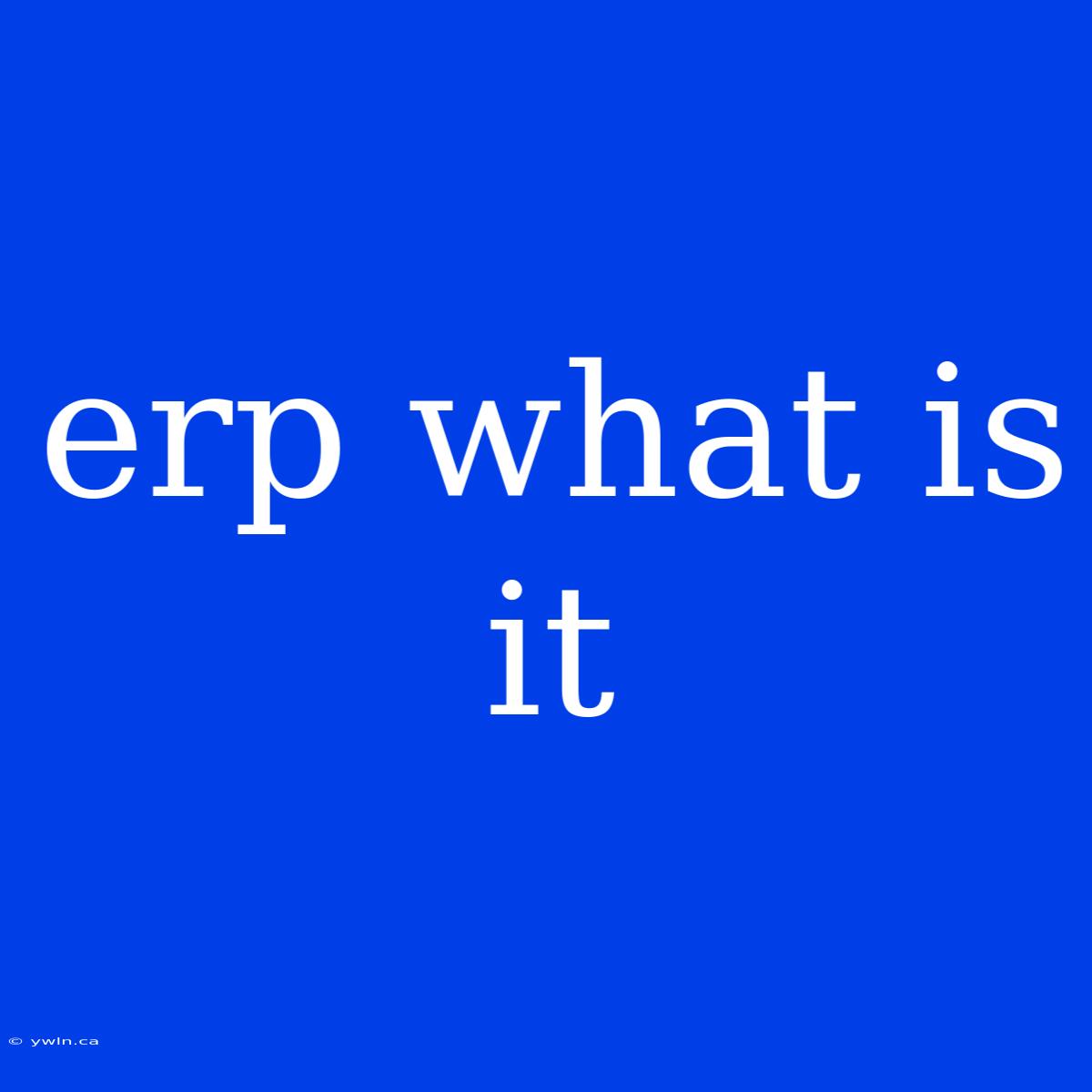 Erp What Is It