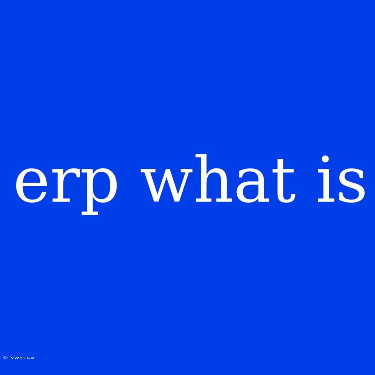 Erp What Is