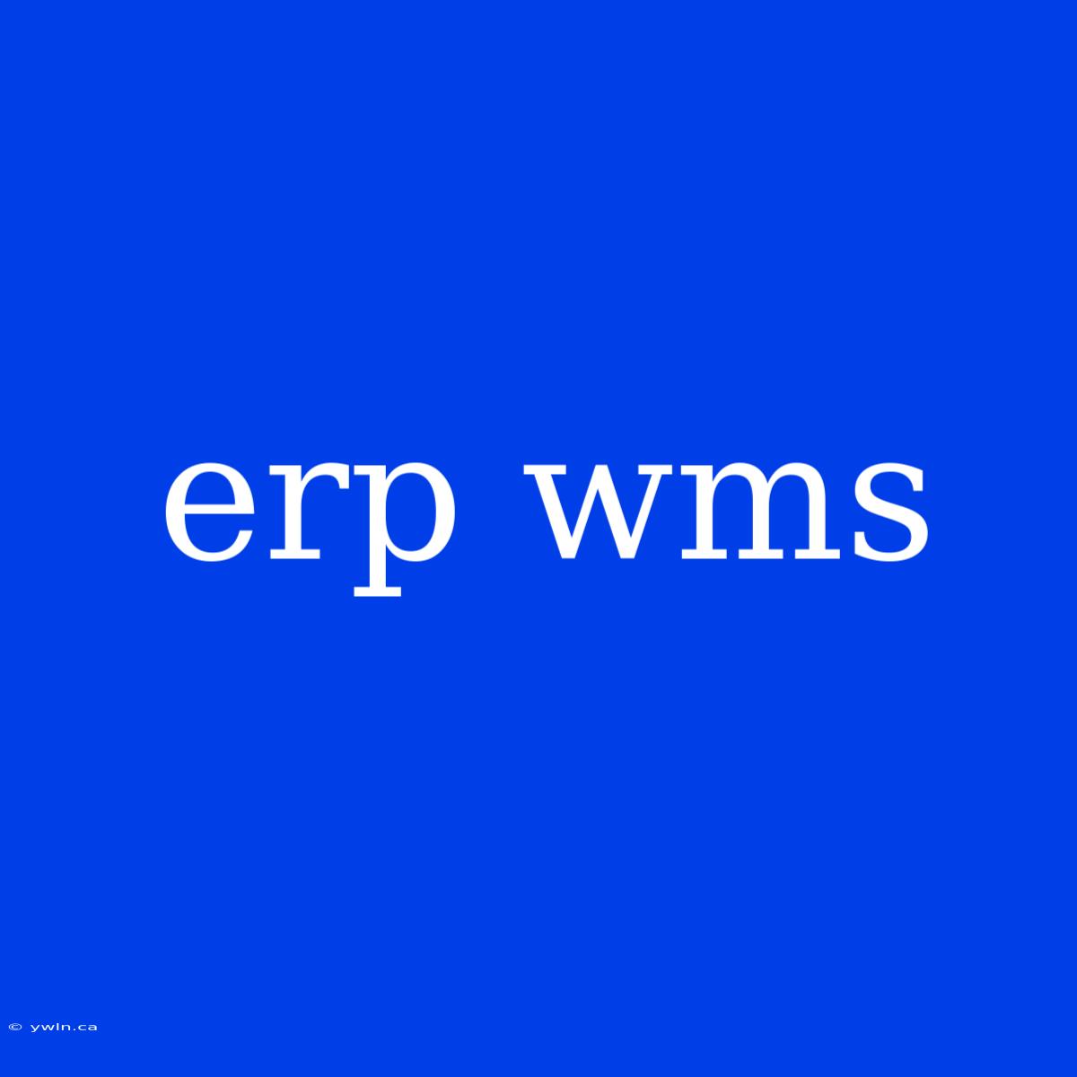 Erp Wms