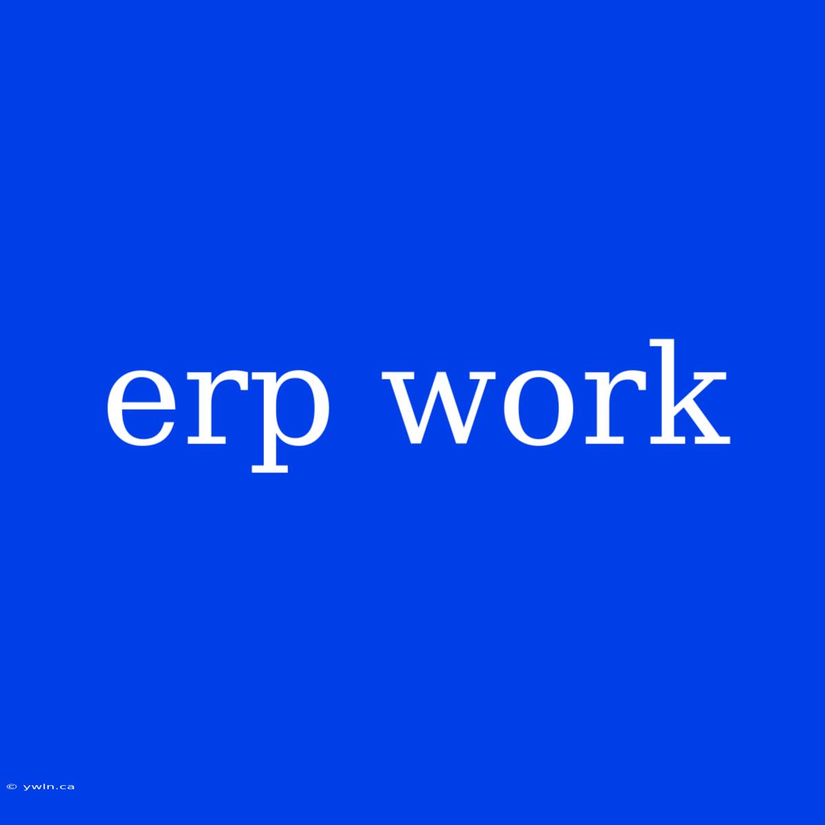 Erp Work