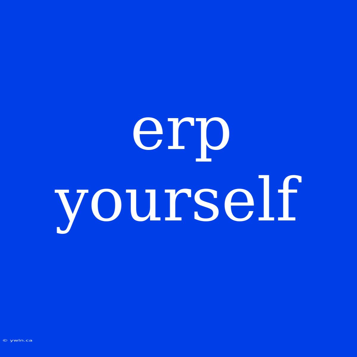 Erp Yourself