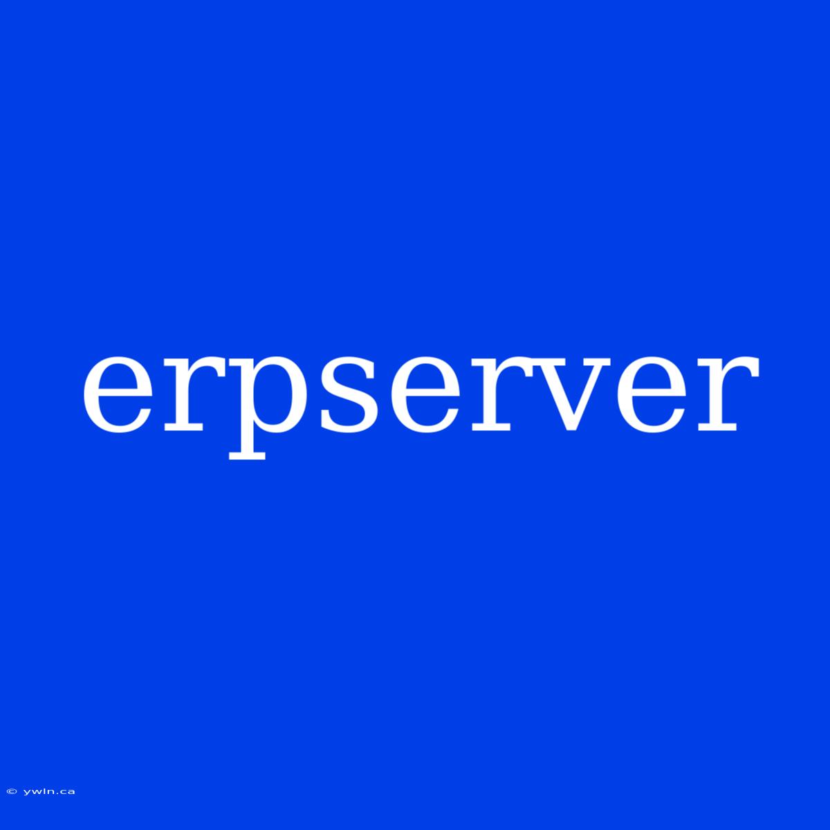 Erpserver