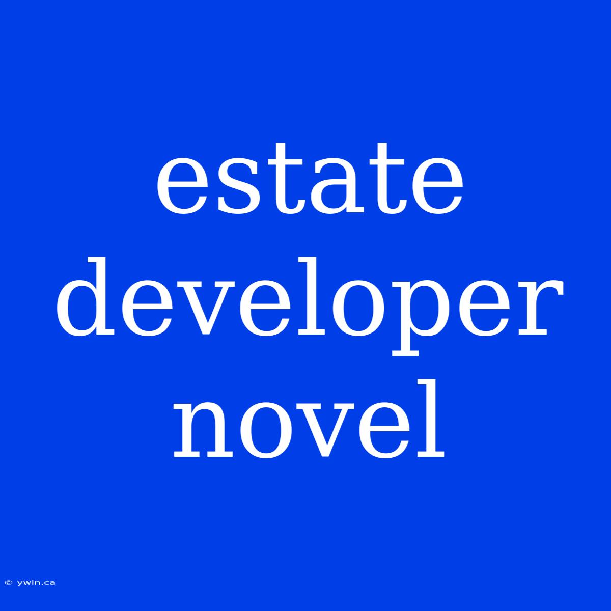 Estate Developer Novel