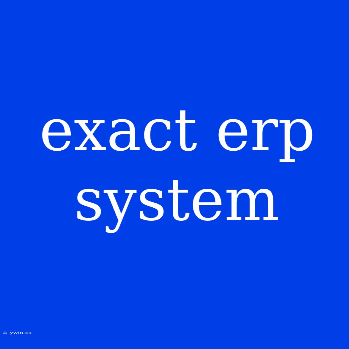 Exact Erp System