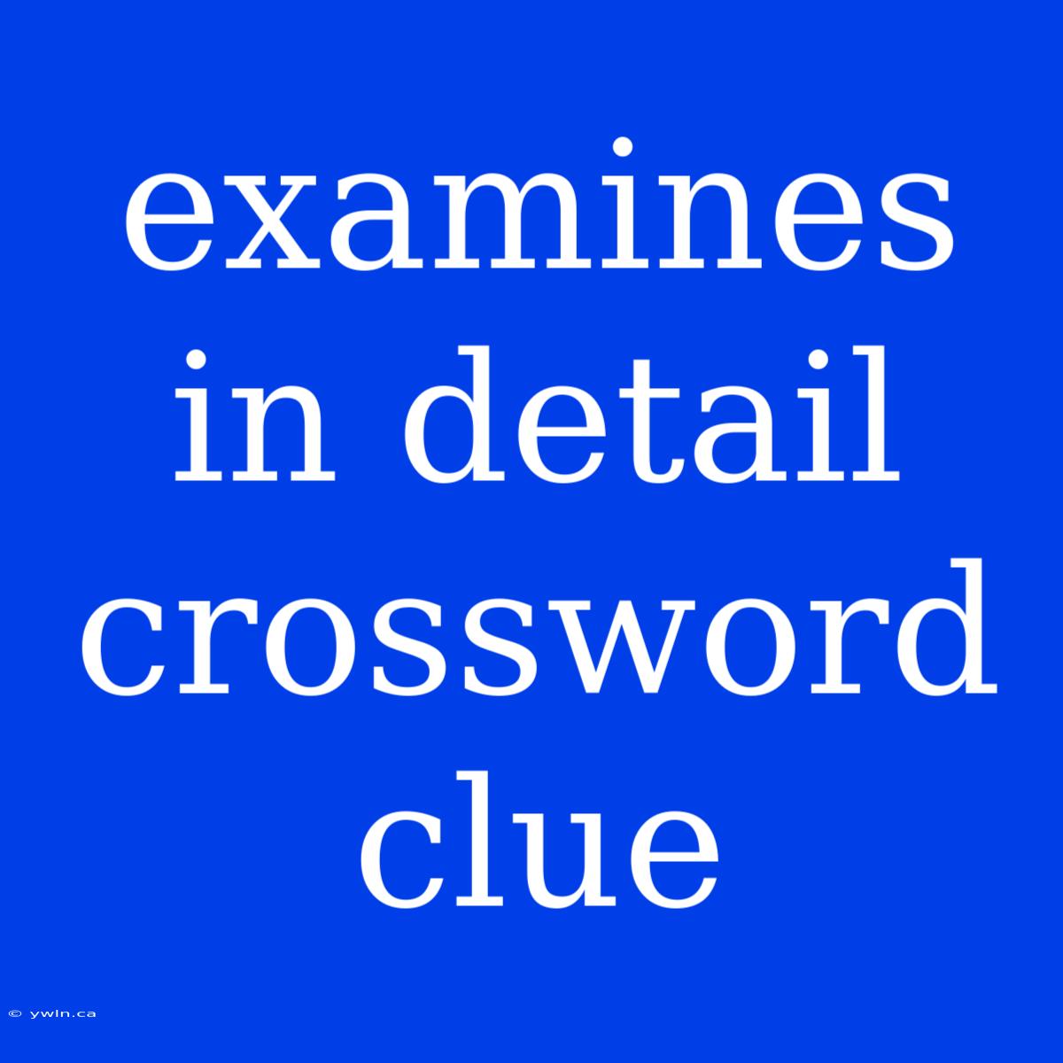 Examines In Detail Crossword Clue