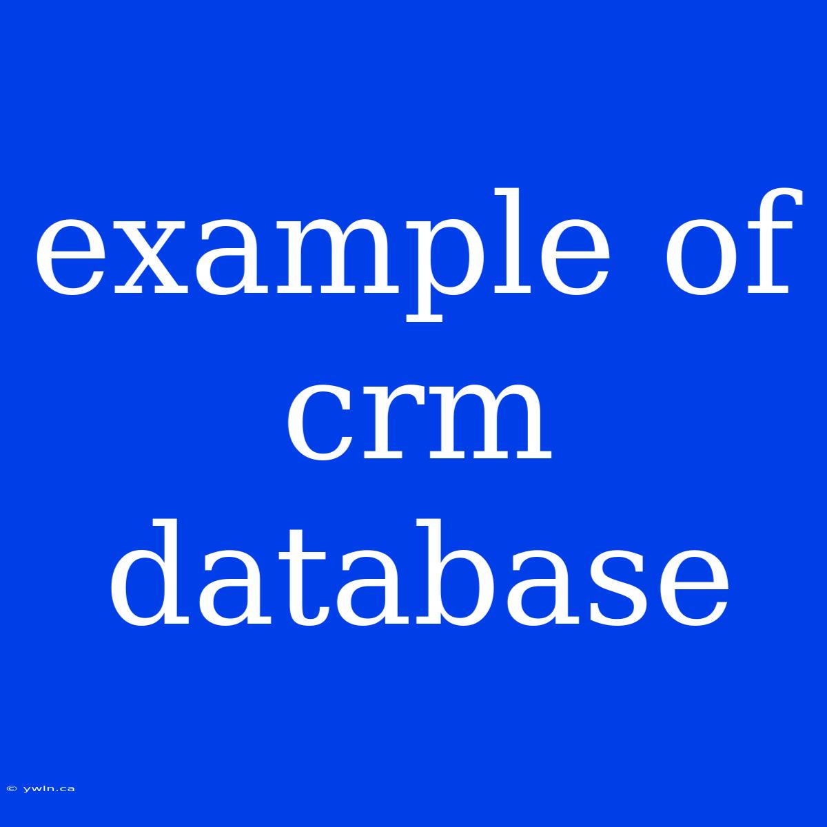 Example Of Crm Database