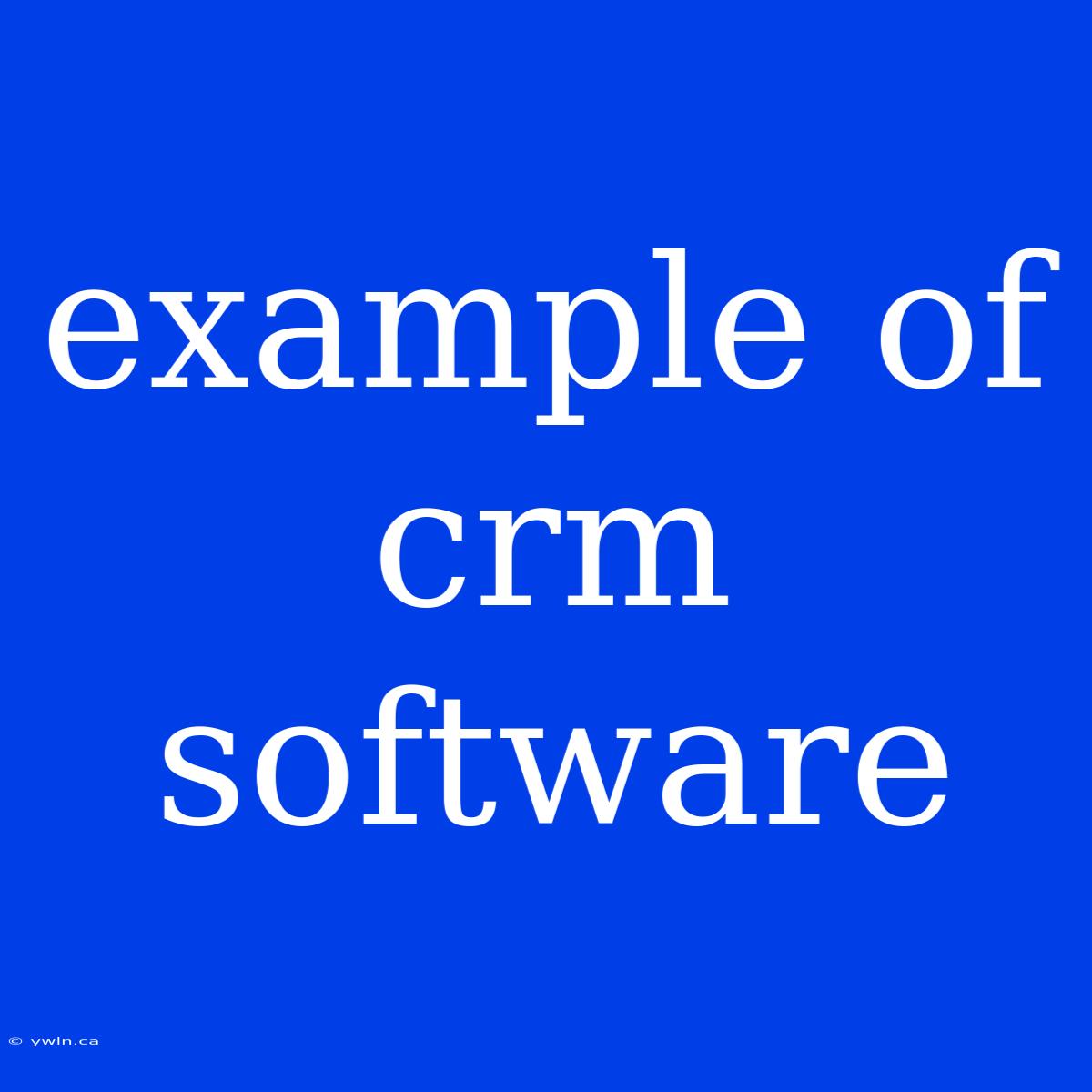 Example Of Crm Software