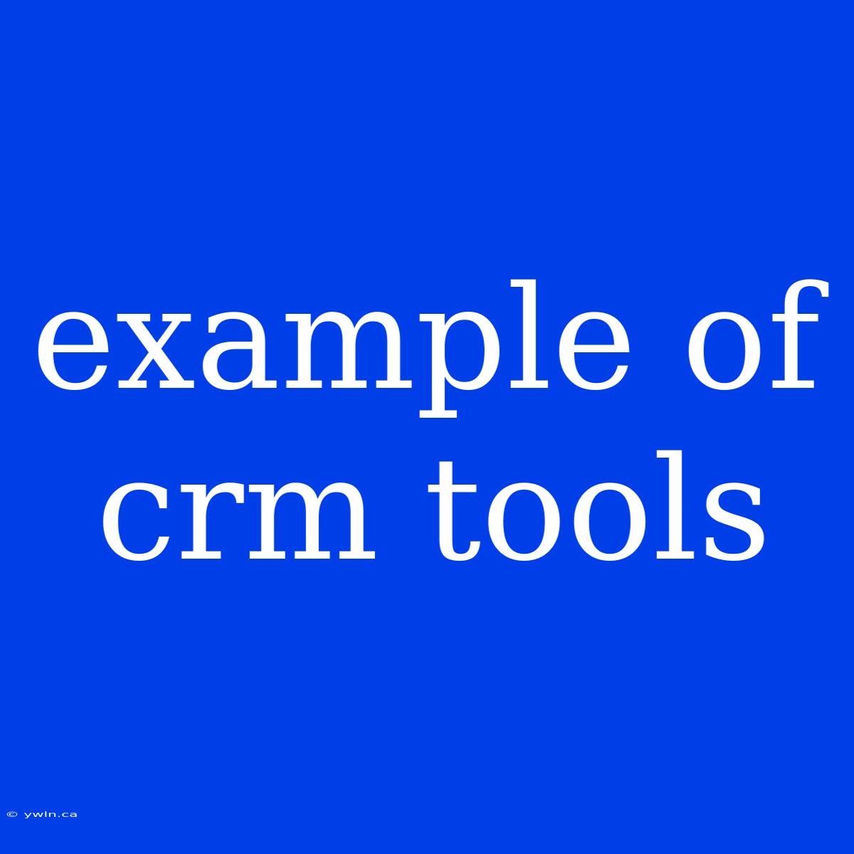 Example Of Crm Tools